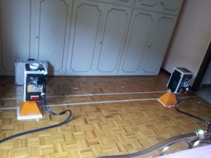 Disinfestazione tarli da parquet in legno silvestri restauri Come eliminare i tarli nel legno