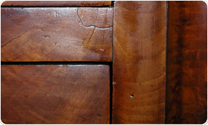 Tarlo del legno e scleroderma soluzioni per eliminarli silvestri ... Come eliminare le tarme dai mobili