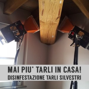 Disinfestazione tarli microonde