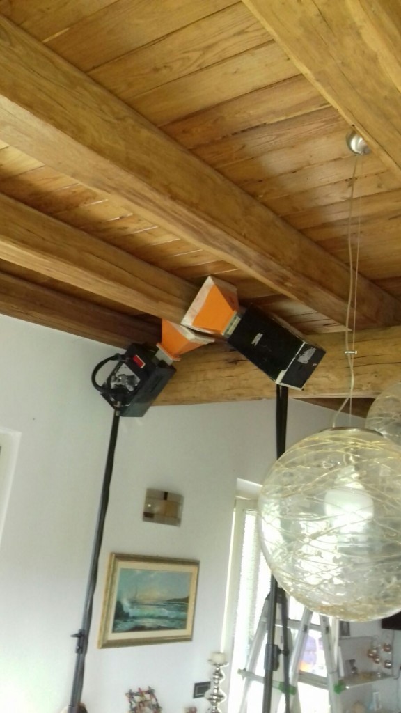 Trattamento antitarlo a Levanto (La Spezia) Trattamento antitarlo a Levanto (La Spezia)