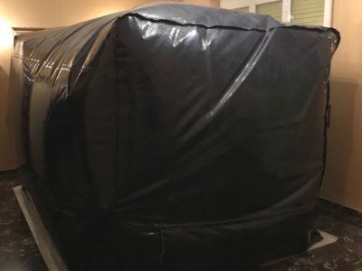 come eliminare Acari del legno e scleroderma